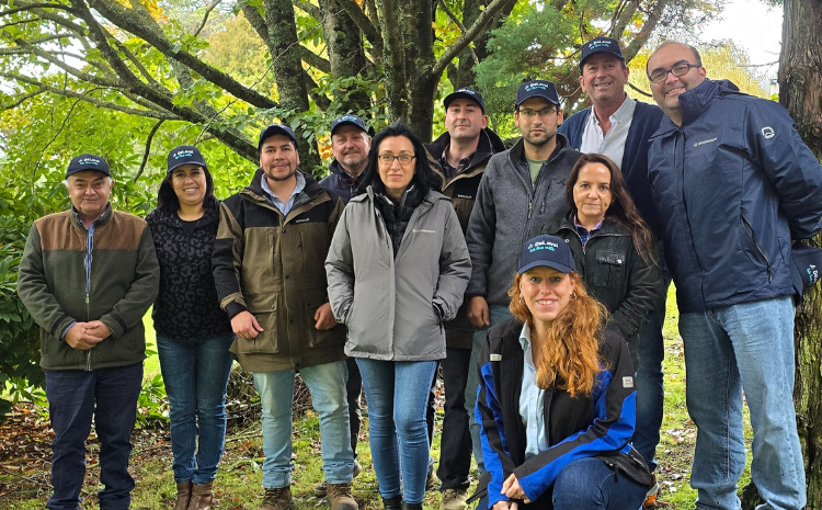 Producción lechera sostenible en Chile con genética Jersey e innovación tecnológica en Agroganadera Cardal