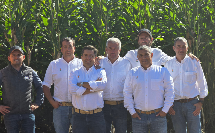 Maíz para silo en Chile con híbridos KWS y asesoría técnica en campo abierto