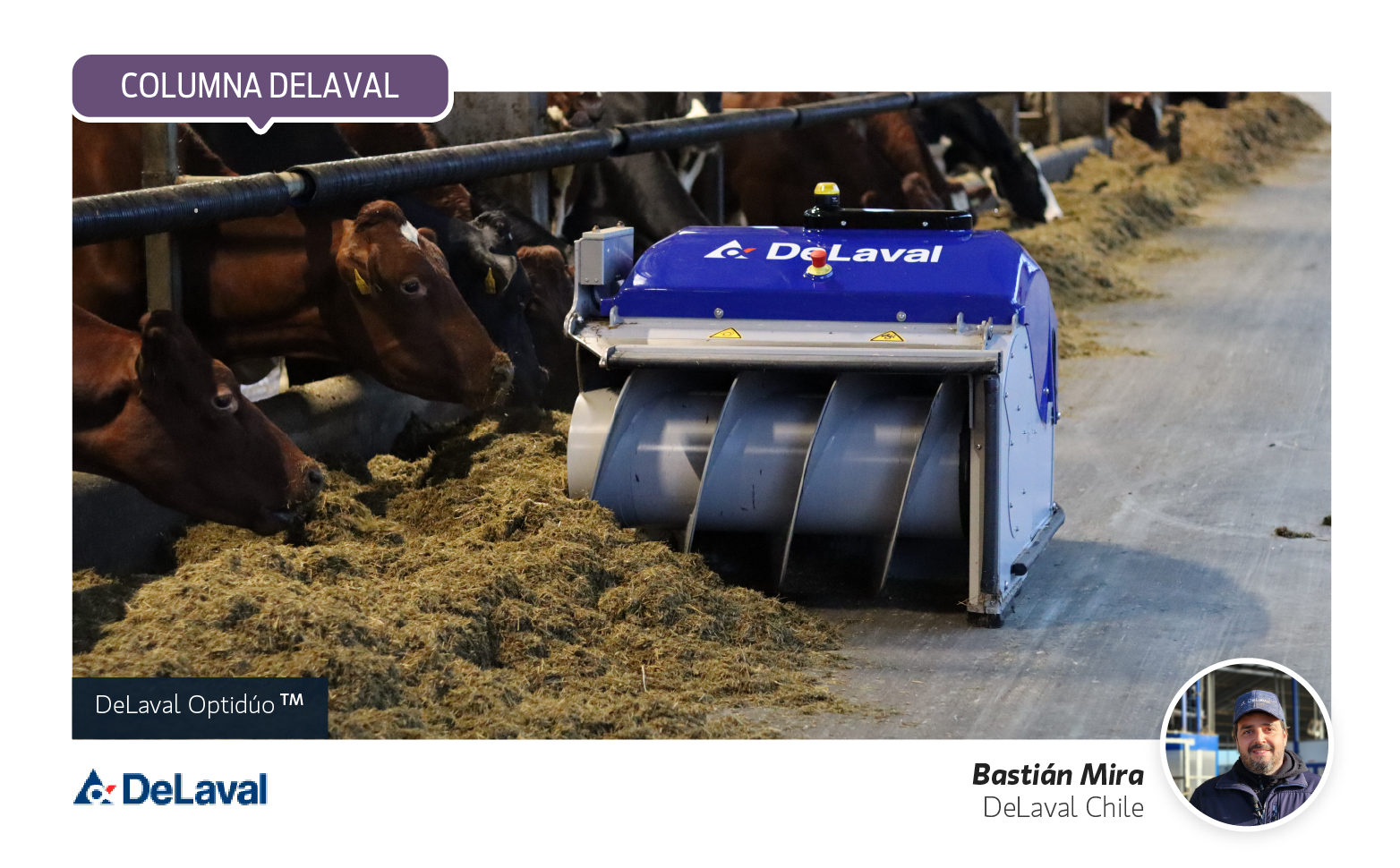 Alimentación automatizada en lecherías DeLaval con CF1000, OptiDuo y Optimat para mayor eficiencia y bienestar animal