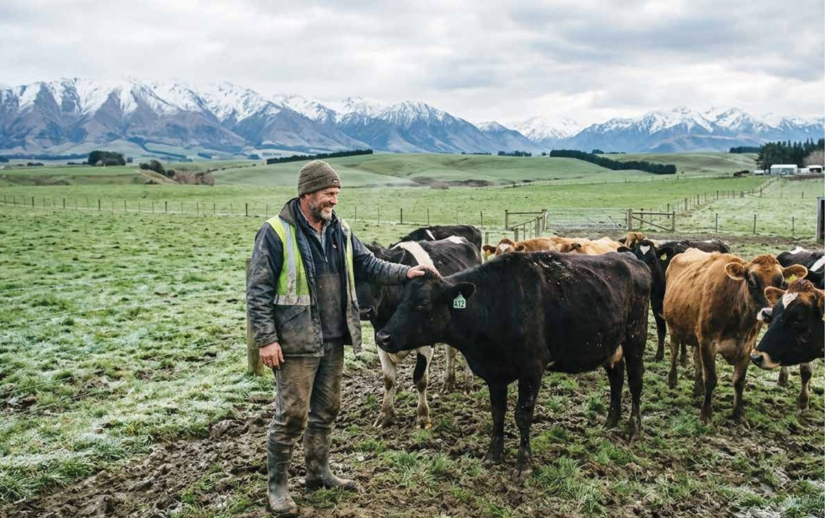 Productor neozelandés con vacas en pastoreo, representando la lechería Nueva Zelanda en su campaña récord 2025/26