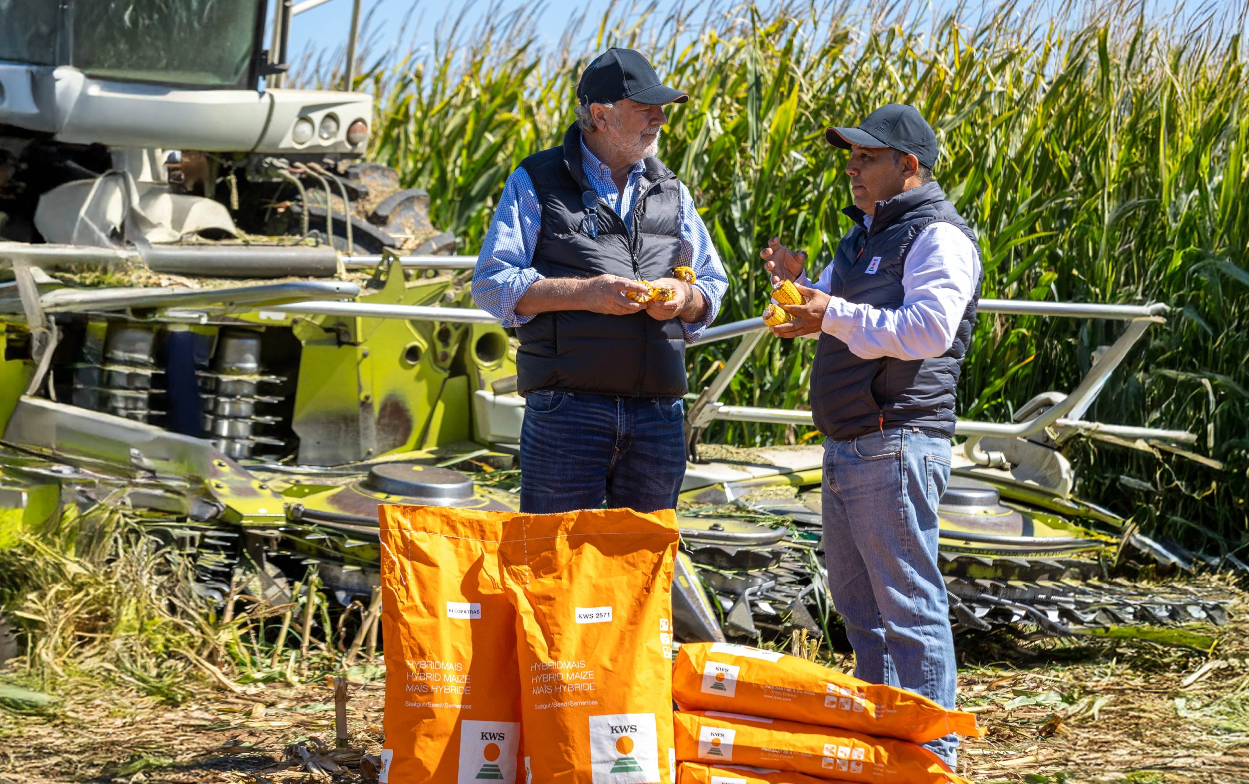 Manuel Pino de KWS Chile revisando bolsas de semilla de maíz en campo de producción