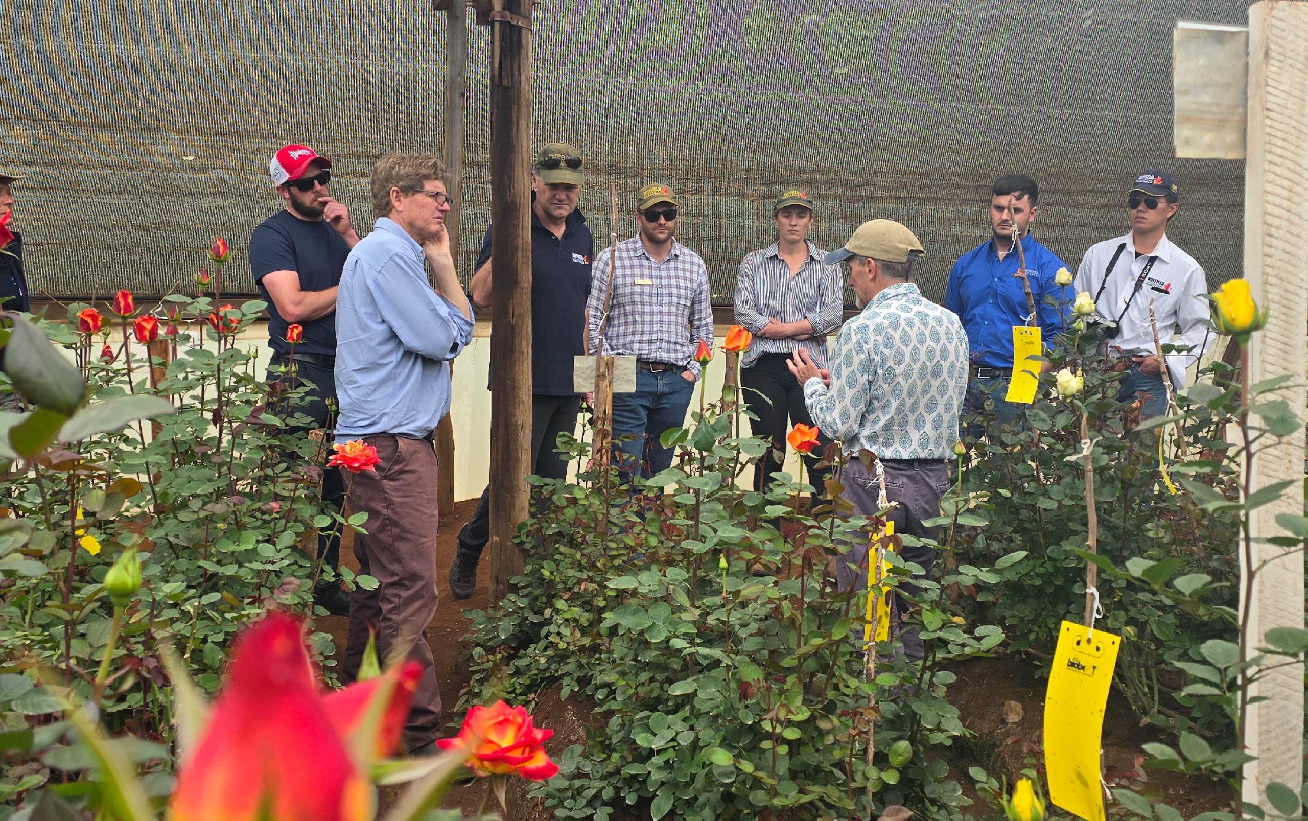 Becados de la beca Nuffield visitando campos y viñedos durante el programa de aprendizaje agrícola internacional
