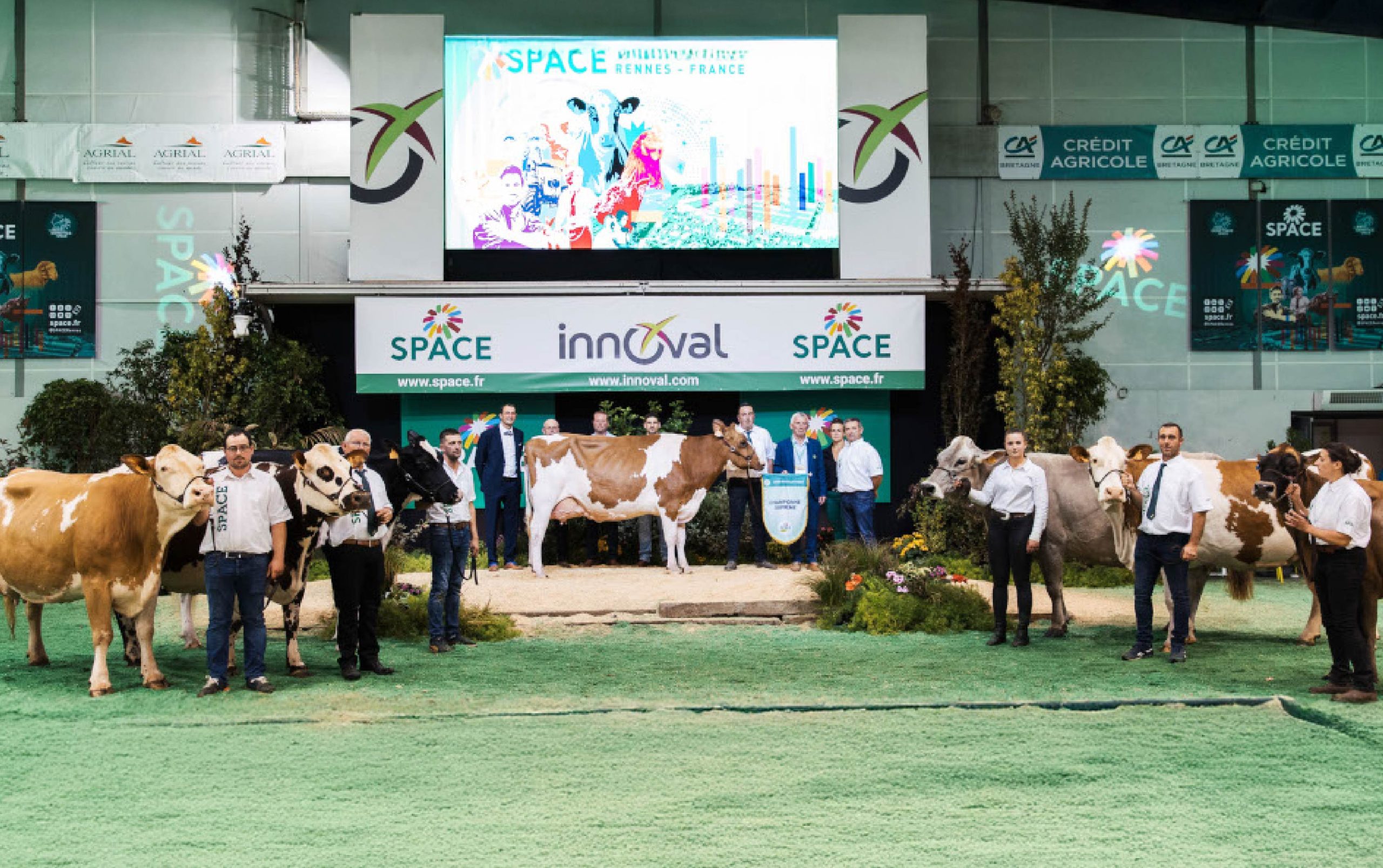 Exposición de bovinos en SPACE 2026, feria de ganadería internacional en Rennes, Francia