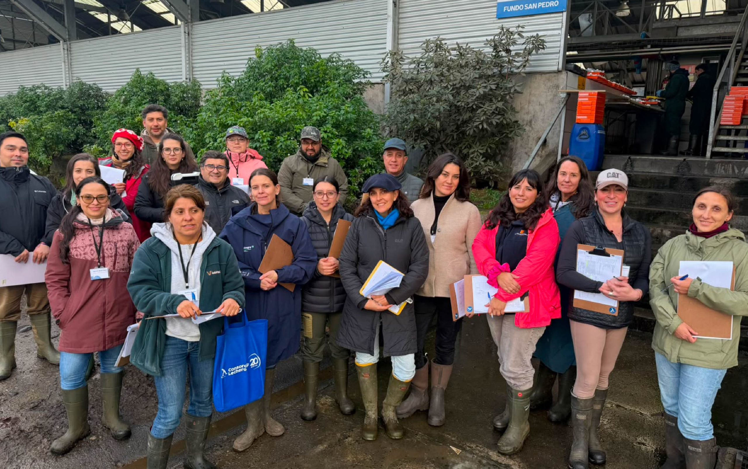 Productores del sector lácteo chileno certificados en el Estándar de Sustentabilidad Chile Origen Consciente
