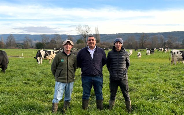 Equipo de Agrícola Los Maitenes en potrero con vacas, caso de mejora genética basada en Mérito Neto y genotipado