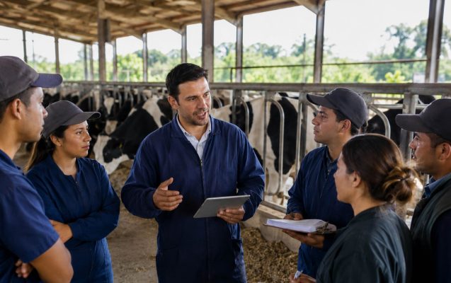 Profesional explicando tipos de coaching a un equipo de trabajo en un establecimiento ganadero