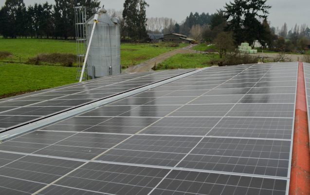 Panel solar instalado en predio lechero del sur de Chile, ilustrando cómo evaluar proyectos fotovoltaicos con supuestos realistas