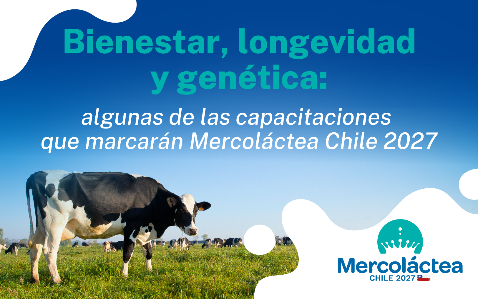Exhibición de razas lecheras en Mercoláctea Chile 2027 en el recinto SAGO de Osorno
